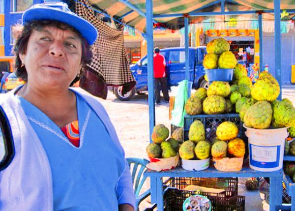 03-30-13_ Sourtop (Guanbana) �̷���֦0001.JPG