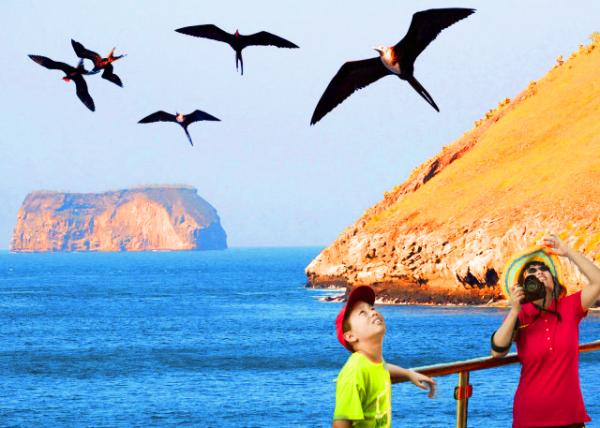 2013-03-31_Blue-footed Booby @ Daphne Major-20001.JPG