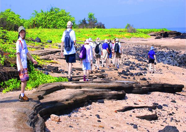 04-01-13_ Santiago Is_Morning Glory Field ǣţ����Ұ-50001.JPG