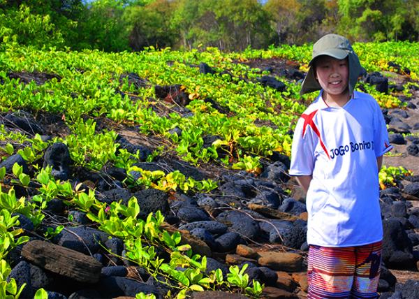 04-01-13_ Saltwater Paludarium0001.JPG