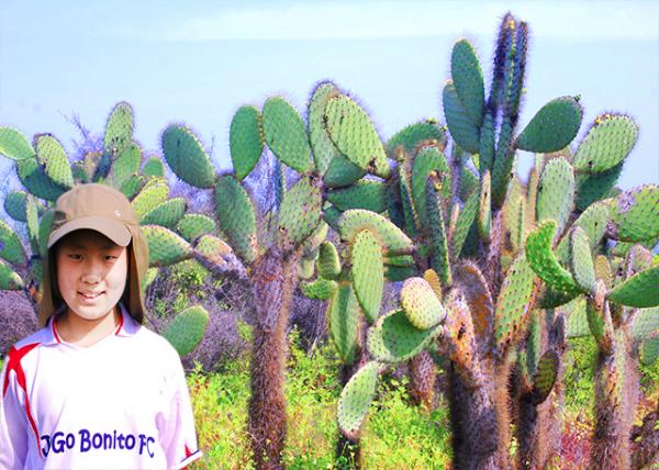 04-01-13_ Giant Prickly Pear Cactus Forest ������������0001.jpg