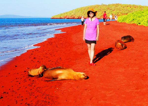 04-01-13_ Rabida Island_Maroon-colored Beach w Fur Seals ��ɫ��̲�뺣��-30001.JPG
