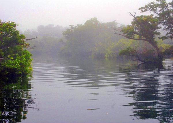 04-02-13_ Elizabeth Bay ����ɯ�׺���-0001.JPG