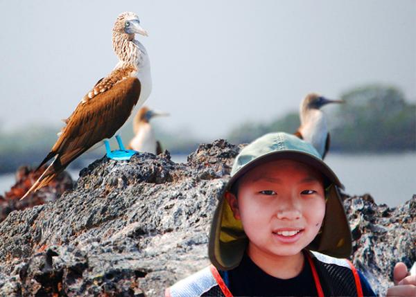 04-02-13_ Bird_Blue-footed Boobies-30001.jpg