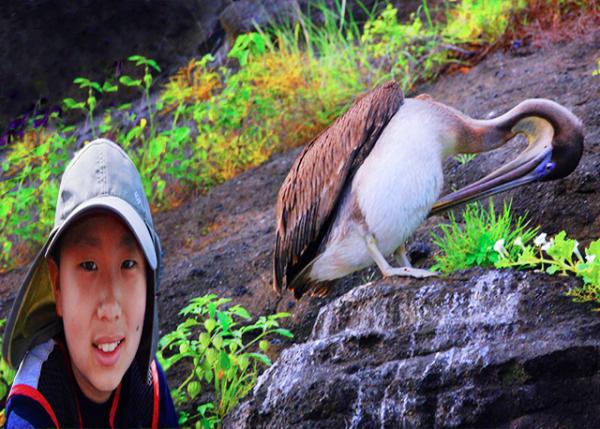 04-02-13_  Pelican ����-20001.jpg