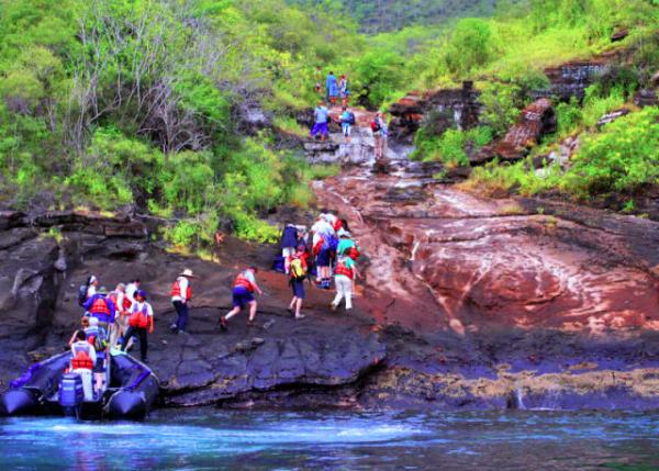 04-02-13_ Tagus Cove_Wet Landing ʪ��½0001.JPG