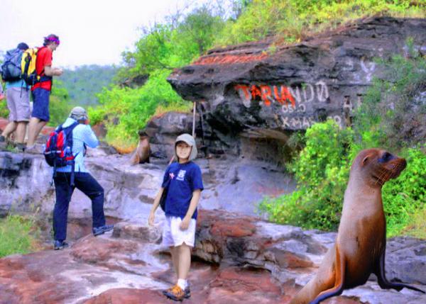 04-02-13_ Graffiti & Natural Shelter Ϳѻ����Ȼ�ܷ�̨-10001.jpg