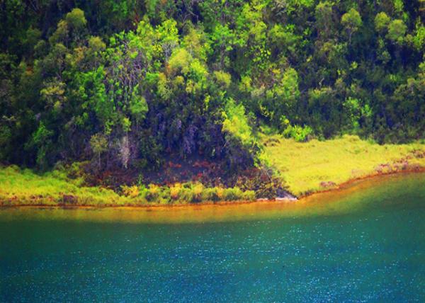 04-02-13_ Darwin's Lake_Sea Lion Nest ��ʨ��0001.JPG