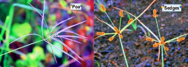 04-02-13_ Plant-3.jpg