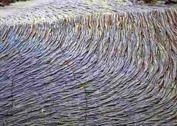 04-03-13_01_Braided Pahoehoe Lava Flow ��״������0001.JPG