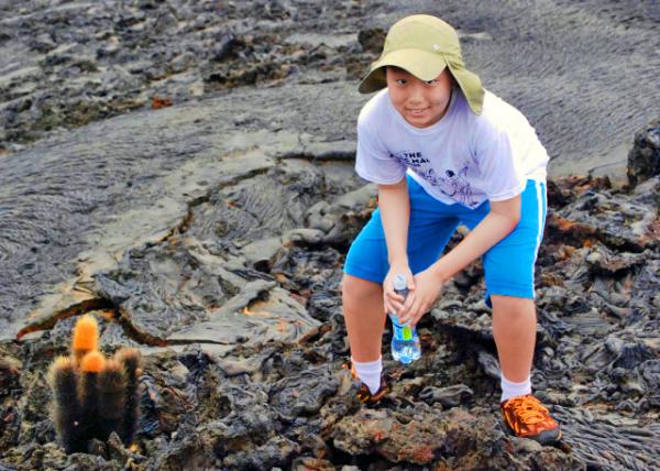 04-03-13_ Sullivan Bay_Lava Cactus_Endemic to the Gal��pagos Islands �޹굺�ز�-60001.JPG