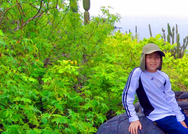04-05-13_ Plant_Cacaotillo �ޱ�ѷҰĵ��0001.JPG