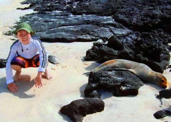 04-05-13_ Gal��pagos Seal, the Smallest of the Eared Seals in Eared Seals-10001.JPG