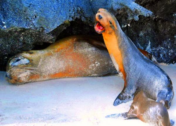 04-05-13_ Are You My Mom-20001.JPG