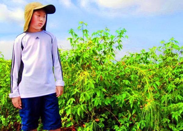 04-05-13_ Cacaotillo �ޱ�ѷҰĵ��0001.JPG