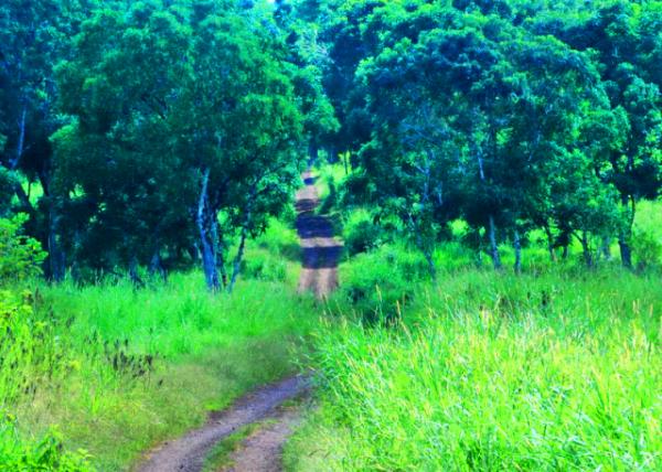 04-06-13_ Highlands �ߵ�0001.JPG