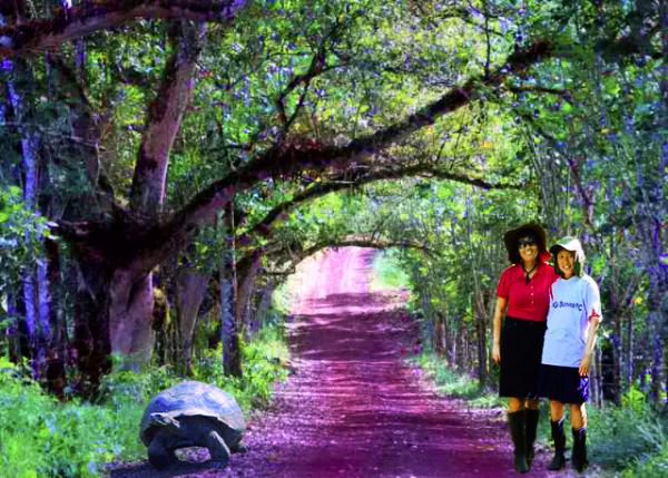 04-06-13_ Highlands_Dark Hedge �ڰ�����-30001.jpg