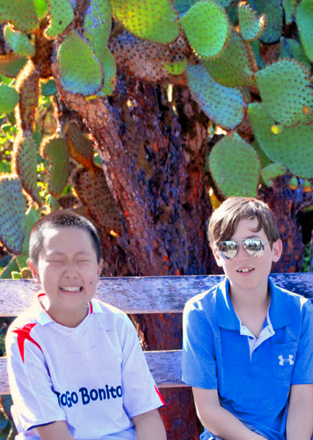 04-06-13_ Aiden-Xander-10001.JPG