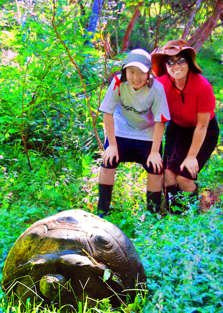 04-06-13_ Giant Tortoise-100001.JPG