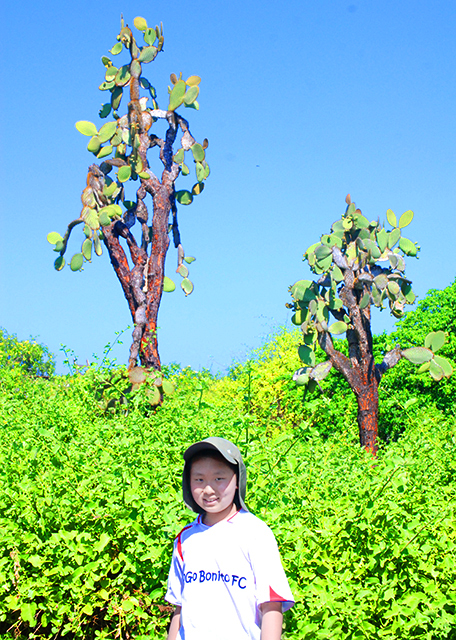 04-06-13_ Saguaro ������-20001.JPG