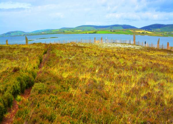 2016-07-14_Ring of Brodgar_Field ���޵¸�ʯȦ�����ǳ���-50001.JPG