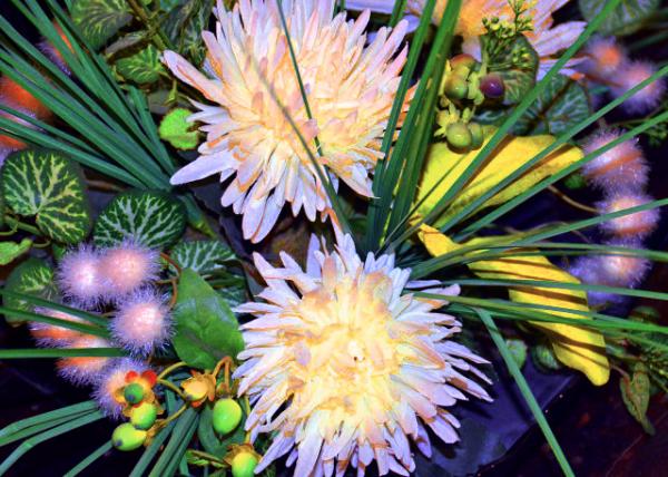 2016-07-14_Flowers_White Chrysanthemum �׾ջ�-30001.JPG
