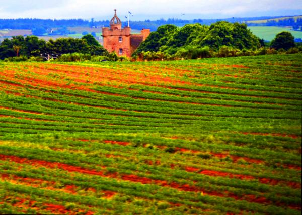 2016-07-15_Castle Stuart ˹ͼ���سǱ�0001.JPG