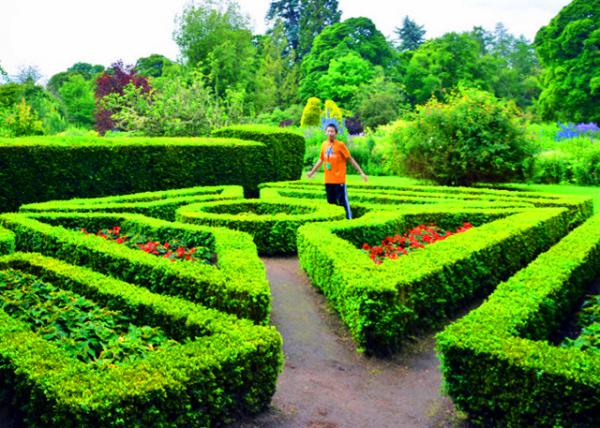 2016-07-15_Cawdor Castle_Topiary @ the Knot Garden ��԰��԰����������-30001.JPG