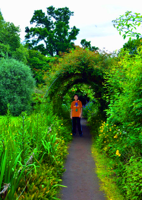 2016-07-15_Cawdor Castle_Arbor Garden ��ľ԰-40001.JPG