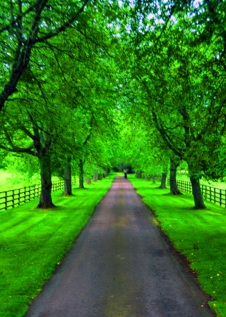 2016-07-15_Cawdor Castle_Garden Arch-60001.JPG