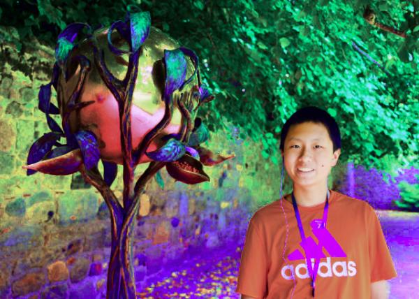 2016-07-15_Cawdor Castle_Sculpture of Metal Bird Feeder ����ι����0001.JPG