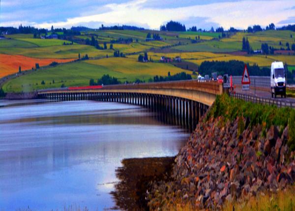 2016-07-15_Invergordon_Cromarty Bridge ������-60001.JPG