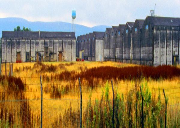 2016-07-15_Invergordon Distillery_Whyte & Mackay ��ʨ��ʿ�ɾƳ�0001.JPG