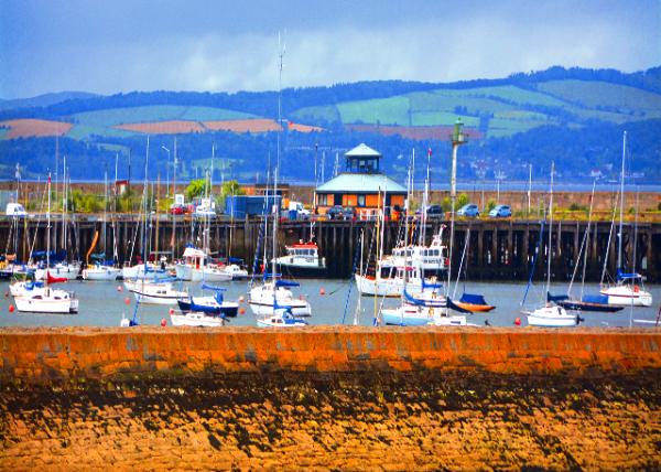 2016-07-16_Firth of Forth_Newhaven Marina Ŧ������ͧ��ͷ-10001.JPG