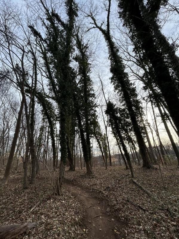 IMG_1219 (自定义) (自定义) (自定义).JPG