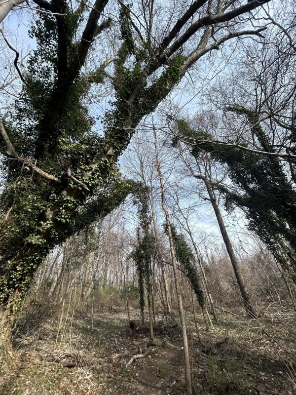 IMG_1251 (自定义) (自定义) (自定义).JPG