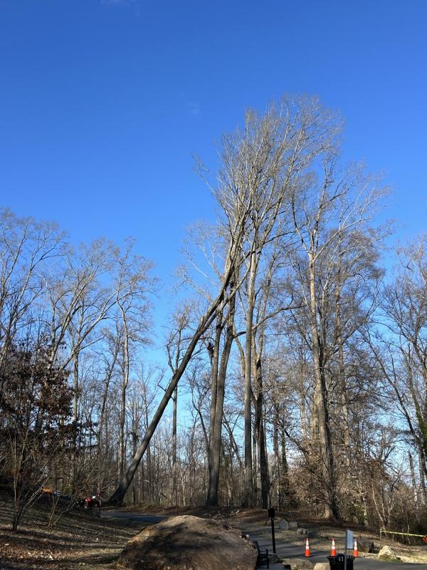 0 IMG_1173 (自定义).JPG