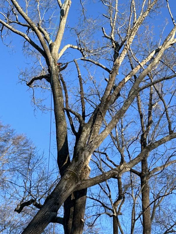 0 IMG_1188 (自定义).JPG