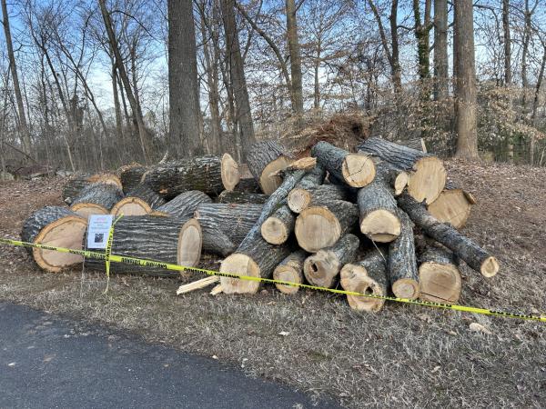 0 IMG_1269 (自定义).JPG