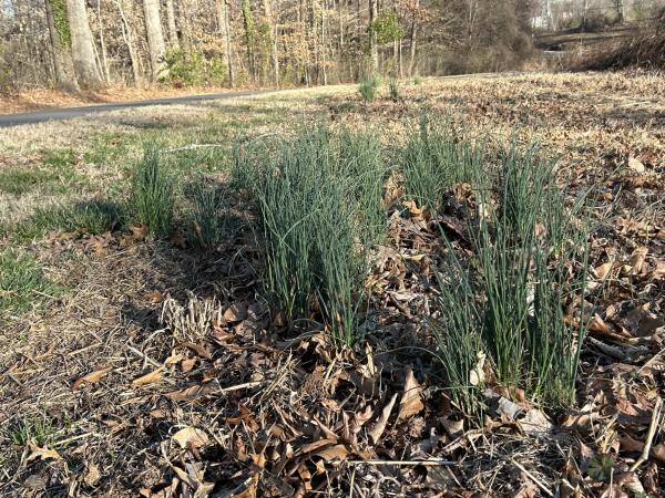 IMG_1174 (自定义).JPG