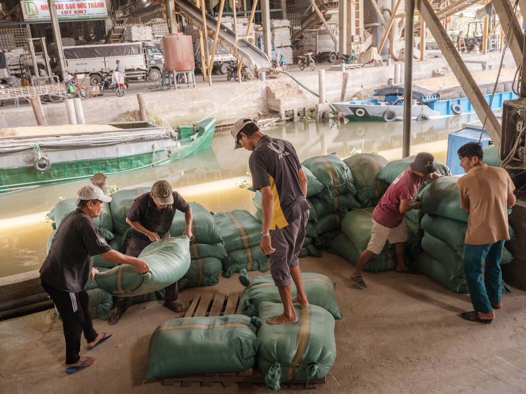 ���ڵ���������֮ũ������ȼ�Ϻͻ��ʼ۸����ǵ�������Խ�ϵĴ��׼ӹ����ѷŻ���������