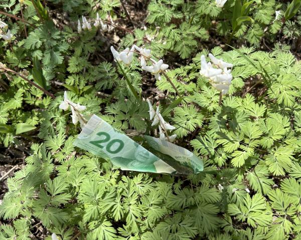 IMG_4178 (自定义).JPG