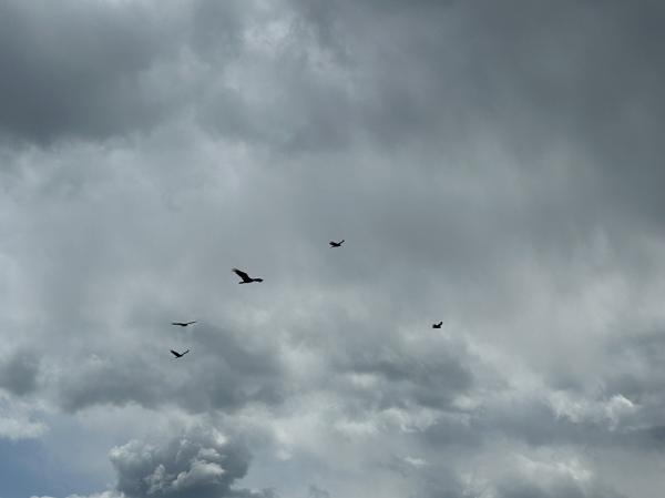 IMG_4167 (自定义).JPG