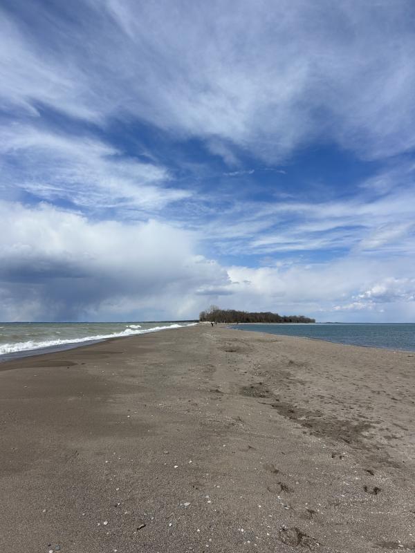 IMG_4186 (自定义).JPG