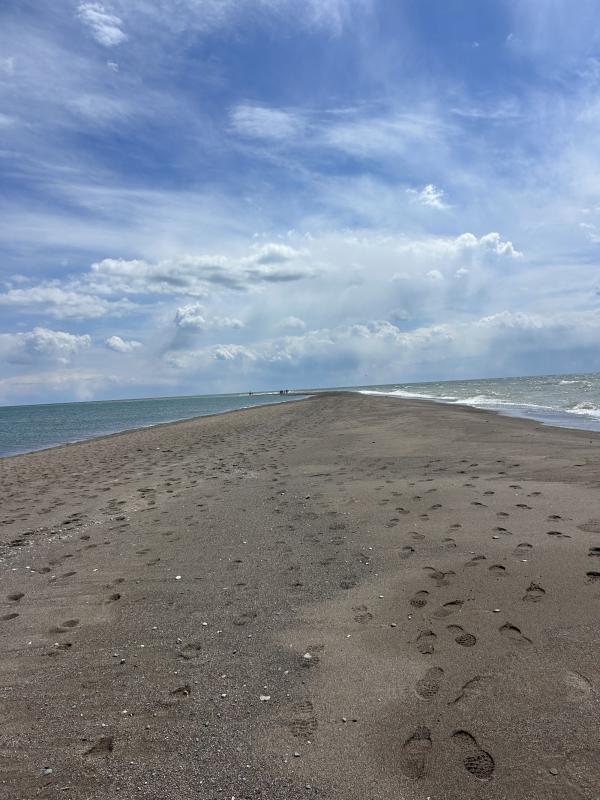 IMG_4187 (自定义).JPG