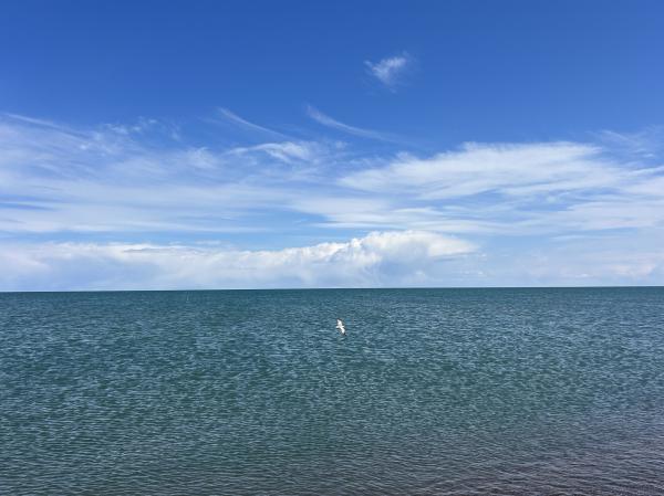 IMG_4218 (自定义).JPG