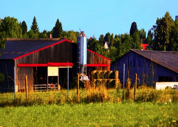 2016-07-18_Barn-20001.JPG
