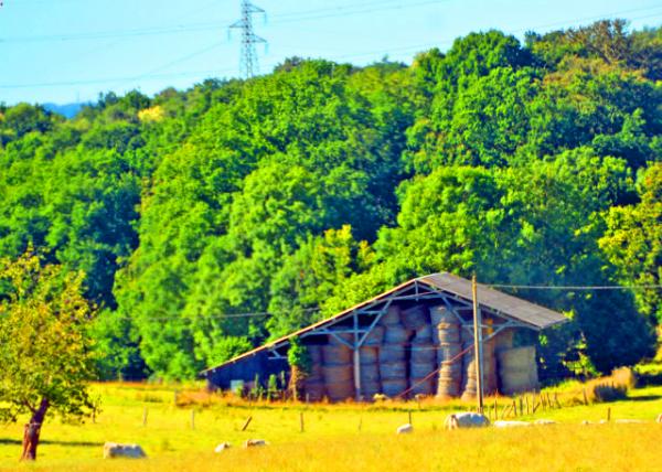 2016-07-18_Barn-30001.JPG