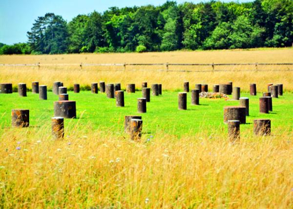 2016-07-19_Woodhenge_the Neolithic Calendar ��ľ��-10001.JPG
