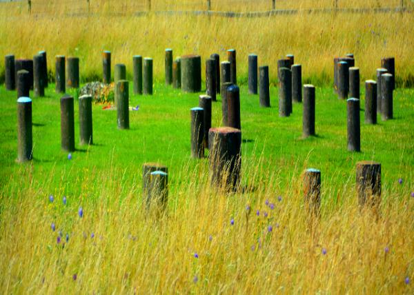 2016-07-19_Woodhenge_Dough Covers ���Ÿ�-20001.JPG